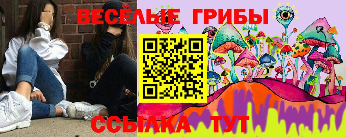 наркота  Галлюциногенные грибы Psilocybe  Вход с VPN  Нальчик 