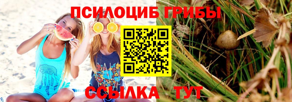 ГАШИШ Нальчик
